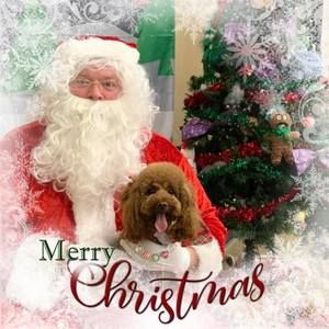 Meet your Posher, Leanna